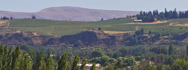 Picture of Yakima Valley.